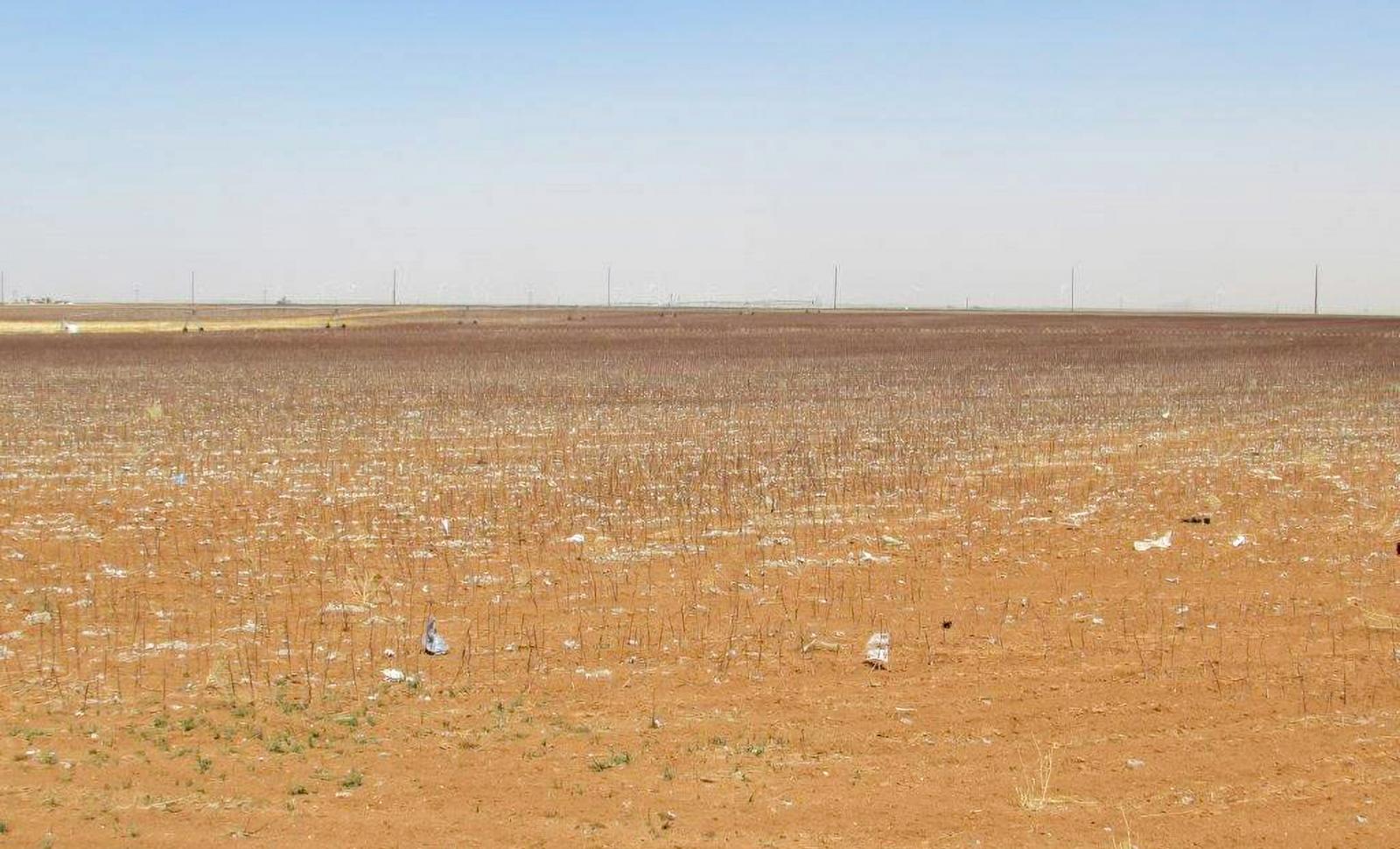 Walker Farm Chas S. Middleton